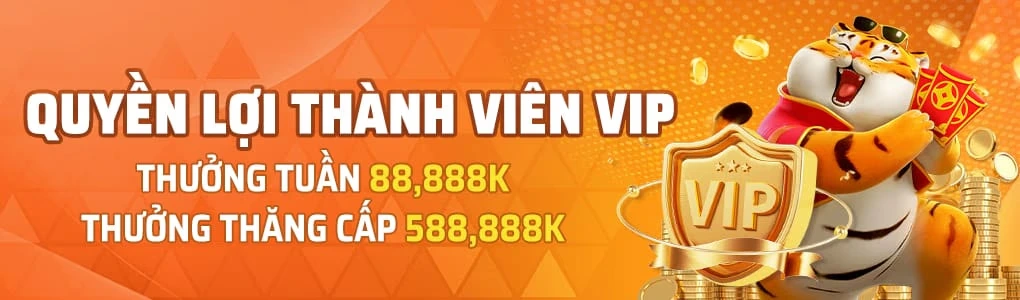 Quyền lợi hội viên